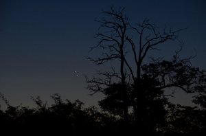 Landy-Gyebnár Mónika romantikus hatást keltő fotója Veszprémből.