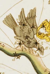 A Holló (Corvus) csillagkép, az Algorab kettőscsillag pedig a két szárny. (kép: Astrograph)