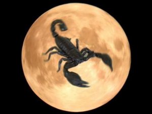www.mydailyastrology.net