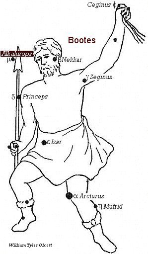 Az Ökörhajcsár és az Alkalurops csillag. Kép: Constellations Of Words